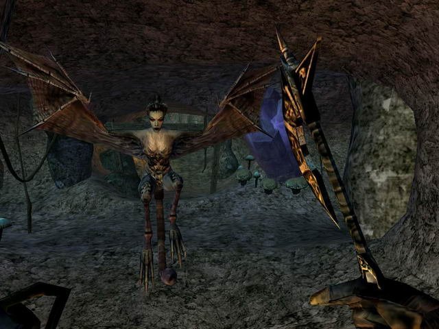 Morrowind Screenshot creature-3
